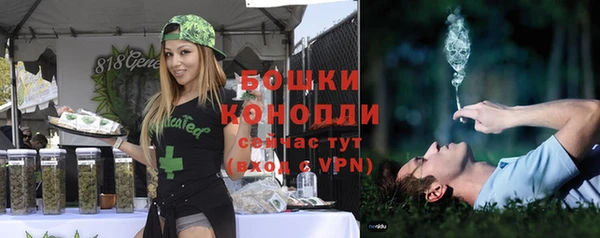 сатива Балабаново