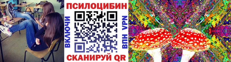 купить наркотик  Куровское  Псилоцибиновые грибы мухоморы 